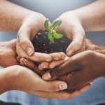 Sustainable Business Practices for a Greener Future